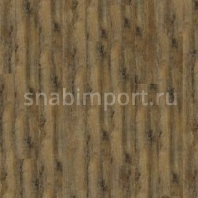 Дизайн плитка Armstrong Scala 30 Connect Wood 23305-159 — купить в Москве в интернет-магазине Snabimport