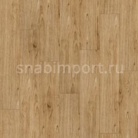 Дизайн плитка Armstrong Scala 40 PUR 24003-145 коричневый — купить в Москве в интернет-магазине Snabimport