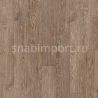Дизайн плитка Armstrong Scala 40 PUR 24115-151 коричневый — купить в Москве в интернет-магазине Snabimport