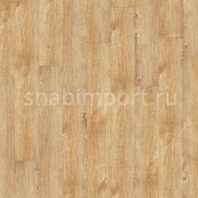 Дизайн плитка Armstrong Scala 55 Connect Wood 25321-142 — купить в Москве в интернет-магазине Snabimport