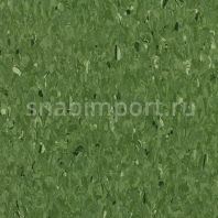 Коммерческий линолеум Tarkett IQ Granit 3040 437 — купить в Москве в интернет-магазине Snabimport