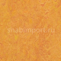 Натуральный линолеум Forbo Marmoleum Real 3226 — купить в Москве в интернет-магазине Snabimport