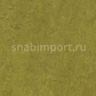 Натуральный линолеум Forbo Marmoleum Real 3239 — купить в Москве в интернет-магазине Snabimport