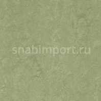 Натуральный линолеум Forbo Marmoleum Real 3240 — купить в Москве в интернет-магазине Snabimport