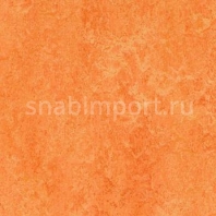 Натуральный линолеум Forbo Marmoleum Real 3241 — купить в Москве в интернет-магазине Snabimport