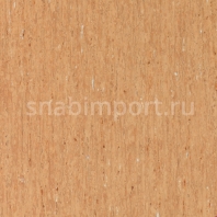 Коммерческий линолеум Tarkett IQ Optima 3242831 — купить в Москве в интернет-магазине Snabimport