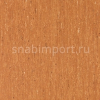 Коммерческий линолеум Tarkett IQ Optima 3242867 — купить в Москве в интернет-магазине Snabimport