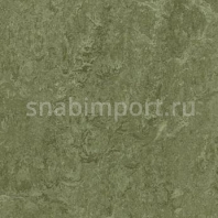 Натуральный линолеум Forbo Marmoleum Real 3255 — купить в Москве в интернет-магазине Snabimport