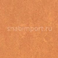 Натуральный линолеум Forbo Marmoleum Fresco 3825 — купить в Москве в интернет-магазине Snabimport