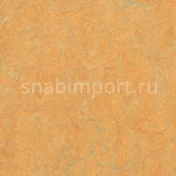 Натуральный линолеум Forbo Marmoleum Fresco 3847 — купить в Москве в интернет-магазине Snabimport
