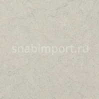 Натуральный линолеум Forbo Marmoleum Fresco 3860 — купить в Москве в интернет-магазине Snabimport