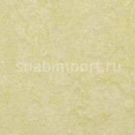 Натуральный линолеум Forbo Marmoleum Fresco 3881 — купить в Москве в интернет-магазине Snabimport