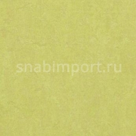 Натуральный линолеум Forbo Marmoleum Fresco 3885 — купить в Москве в интернет-магазине Snabimport