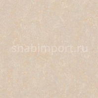 Натуральный линолеум Forbo Marmoleum Fresco 3886 — купить в Москве в интернет-магазине Snabimport