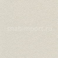 Виниловые обои Koroseal Desert Sand 5521-93 Серый