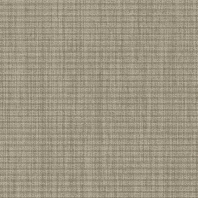 Ковровое покрытие Shaw NOBLE MATERIALS Мonolith woven 5A218-18506 Серый — купить в Москве в интернет-магазине Snabimport