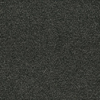 Ковровое покрытие Shaw NOBLE MATERIALS Base metal 5A219-18505 чёрный — купить в Москве в интернет-магазине Snabimport