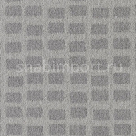 Ковровое покрытие Vorwerk FORMA 5S61 серый — купить в Москве в интернет-магазине Snabimport