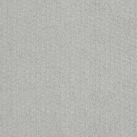 Ковровое покрытие Shaw QUITE CANVAS Sentiment 60775-00512 Серый — купить в Москве в интернет-магазине Snabimport