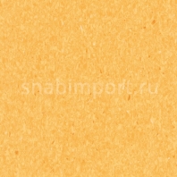 Коммерческий линолеум Armstrong Favorite PUR 726-074 — купить в Москве в интернет-магазине Snabimport