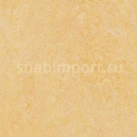 Натуральный линолеум Forbo Marmoleum click 753846 — купить в Москве в интернет-магазине Snabimport