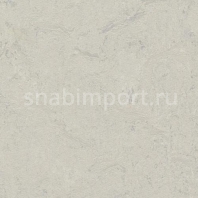 Натуральный линолеум Forbo Marmoleum click 753860 — купить в Москве в интернет-магазине Snabimport