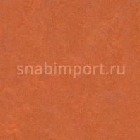 Натуральный линолеум Forbo Marmoleum click 753870 — купить в Москве в интернет-магазине Snabimport