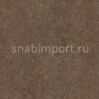 Натуральный линолеум Forbo Marmoleum click 753874 — купить в Москве в интернет-магазине Snabimport