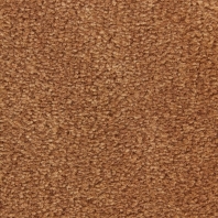 Ковровое покрытие Edel Palmares-235 коричневый