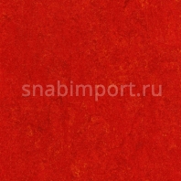 Натуральный линолеум Armstrong Marmorette LPX 121-118 (2,5 мм) — купить в Москве в интернет-магазине Snabimport