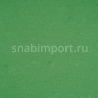 Натуральный линолеум Armstrong Colorette LPX 131-006 (3,2 мм) — купить в Москве в интернет-магазине Snabimport