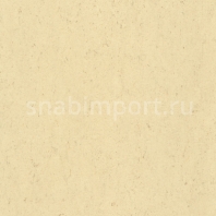 Натуральный линолеум Armstrong Colorette LPX 131-140 (3,2 мм) — купить в Москве в интернет-магазине Snabimport