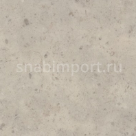 Дизайн плитка Amtico Assura Stone AA0SFL33 Бежевый — купить в Москве в интернет-магазине Snabimport