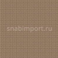 Ковровое покрытие Agnella Creation Asta-stone коричневый — купить в Москве в интернет-магазине Snabimport