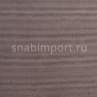 Ковровое покрытие Rols Alba Taupe серый — купить в Москве в интернет-магазине Snabimport