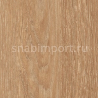 Дизайн плитка Amtico Marine Wood AM5W2549 коричневый — купить в Москве в интернет-магазине Snabimport