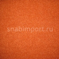 Ковровое покрытие Нева Тафт Ангара 203 Серый — купить в Москве в интернет-магазине Snabimport