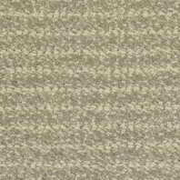 Ковровое покрытие Masland Ansley 9555-806 Серый — купить в Москве в интернет-магазине Snabimport