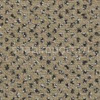 Ковровое покрытие Condor Carpets Apollo 72 Бежевый — купить в Москве в интернет-магазине Snabimport