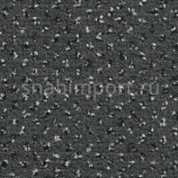 Ковровое покрытие Condor Carpets Apollo 77 Серый — купить в Москве в интернет-магазине Snabimport