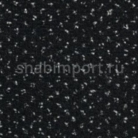 Ковровое покрытие Condor Carpets Apollo 78 черный — купить в Москве в интернет-магазине Snabimport
