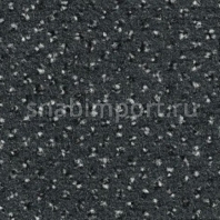 Ковровое покрытие Condor Carpets Apollo 79 Серый — купить в Москве в интернет-магазине Snabimport