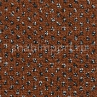 Ковровое покрытие Condor Carpets Apollo 96 коричневый — купить в Москве в интернет-магазине Snabimport