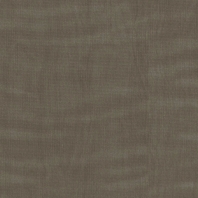 Текстильные обои APEX Giona APX-GIO-20 коричневый