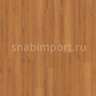 Дизайн плитка Armstrong Scala 55 PUR Wood 25065-160 коричневый — купить в Москве в интернет-магазине Snabimport