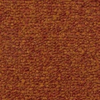 Ковровое покрытие Radici Pietro Trotter ARAGOSTA 9463 коричневый — купить в Москве в интернет-магазине Snabimport