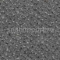 Ковровое покрытие Condor Carpets Argus New 316 Серый — купить в Москве в интернет-магазине Snabimport