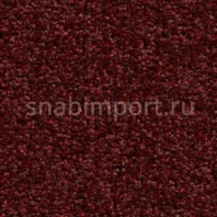 Ковровое покрытие Condor Carpets Atlantic 289 Красный — купить в Москве в интернет-магазине Snabimport