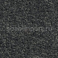 Ковровое покрытие Condor Carpets Atlantic 300 Серый — купить в Москве в интернет-магазине Snabimport