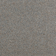 Ковровое покрытие Tapibel Atlantic-57660 Серый